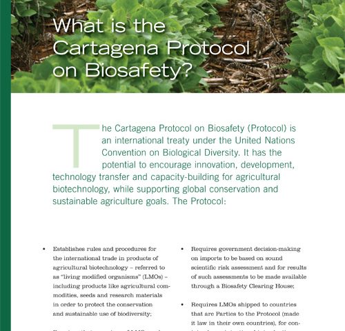 what-is-the-cartagena-protocol-on-biosafety-agricultural